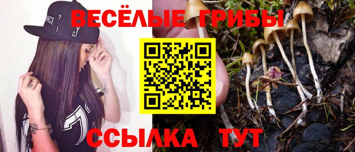 Галлюциногенные грибы GOLDEN TEACHER  Вход с VPN  Сургут 