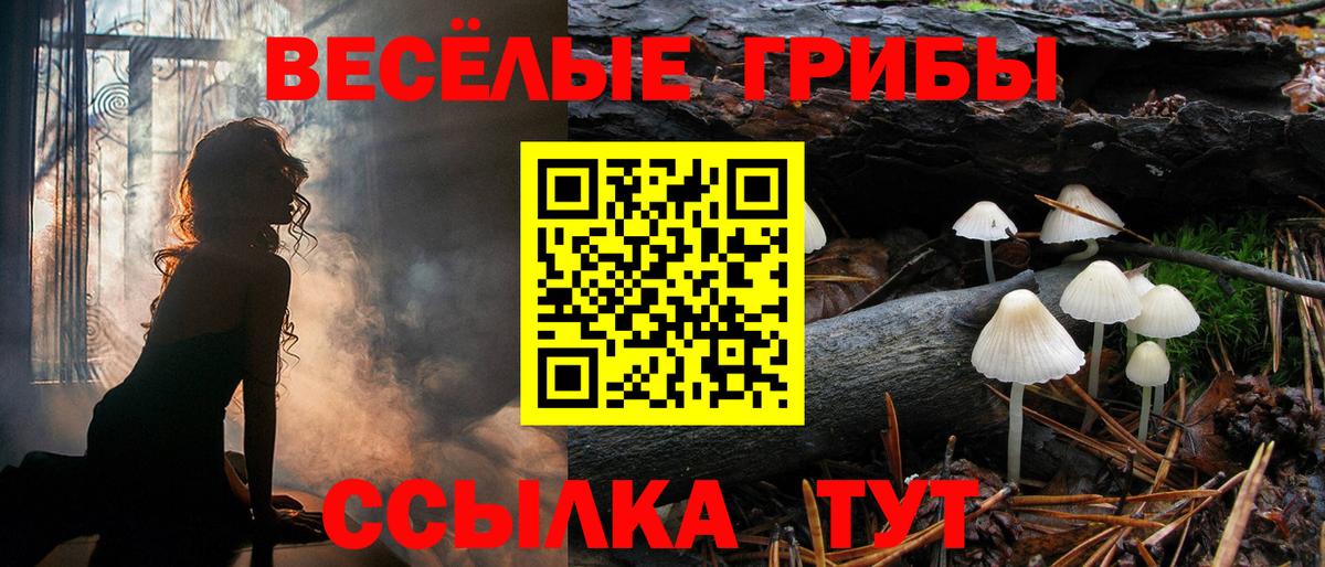 Галлюциногенные грибы MAGIC MUSHROOMS Сургут